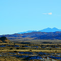 Desert range