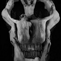 Human skull