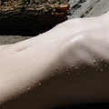 Bodyscape Full Sun